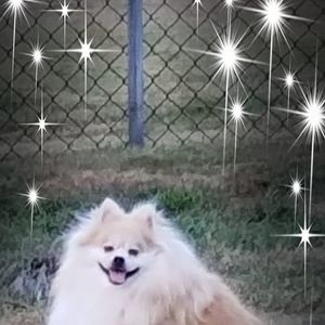 Meet your Posher, Beverly